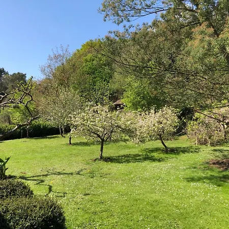 Lägenhet El Valle *